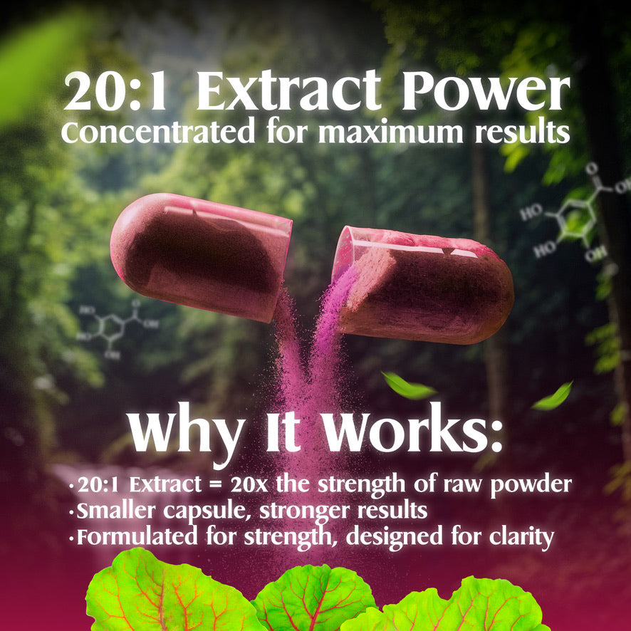 Sproote Beetroot + Ginkgo | Flow State Formula | Potent 20:1 Extracts for Daily Wellness | 90 Capsules